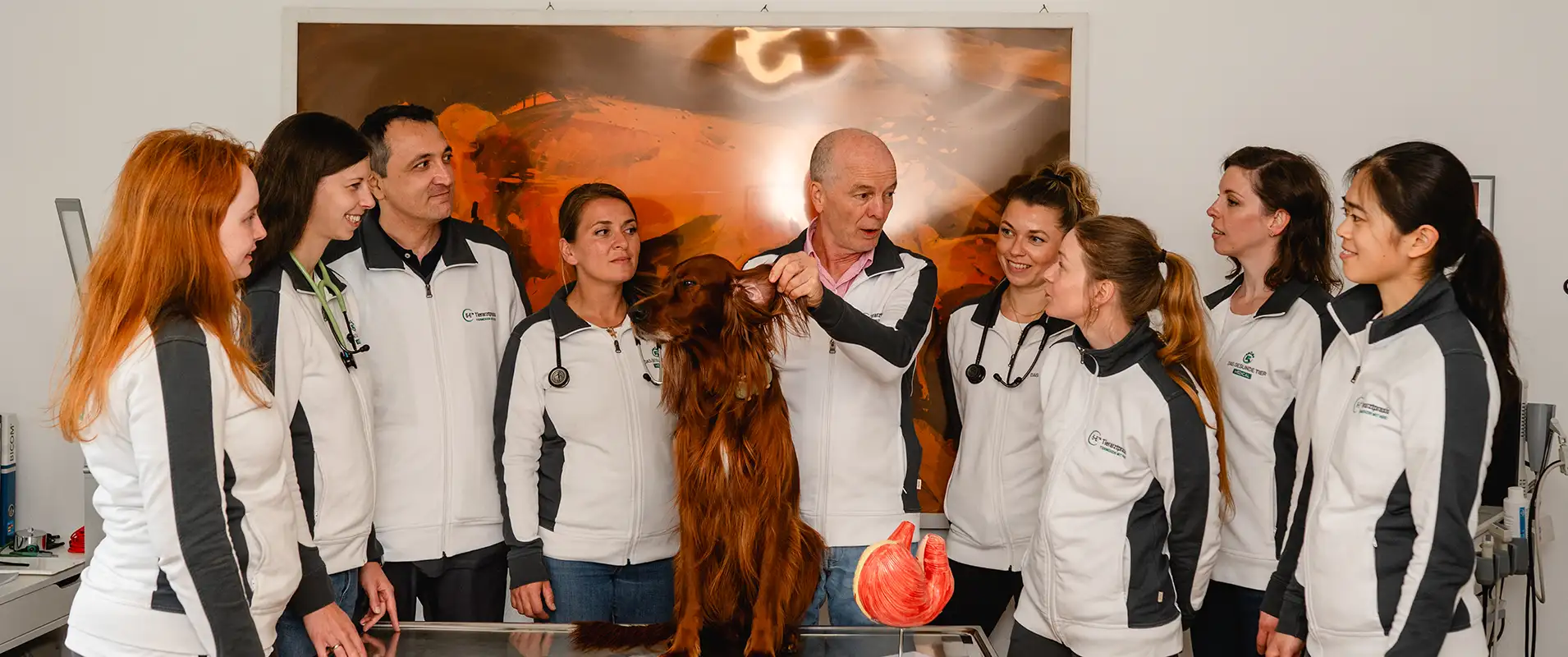 Tierärztliches Fachteam für integrative Tiergesundheit steht gemeinsam mit einem Irish Setter in einem modernen Behandlungsraum, während ein Tierarzt den Hund untersucht und das Team aufmerksam zuhört.