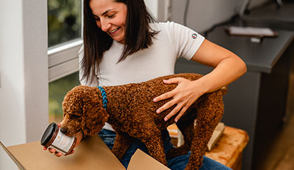 Hundebesitzerin packt gemeinsam mit ihrem Hund eine Lieferung von Das Gesunde Tier aus.
