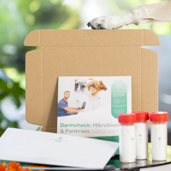 Gesundheitscheck-Box für Hunde von Das Gesunde Tier mit Laboranalyse und Befundbericht.