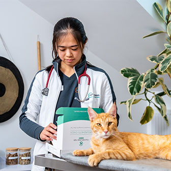 Tierärztin öffnet eine Gesundheitscheck-Box von Das Gesunde Tier neben einer Katze.