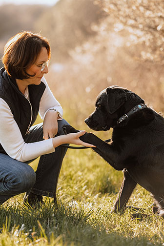 Frau kniet auf einer Wiese und gibt einem schwarzen Hund die Pfote bei Sonnenschein.