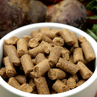 Kaltgepresstes Hundefutter von Das Gesunde Tier im ICEPRESSED®-Verfahren hergestellt.