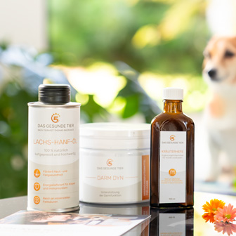 Lachs-Hanf-Öl, Darm Dyn und Kräuterhefe von Das Gesunde Tier – Ergänzungsfuttermittel für Hunde.