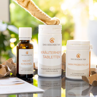 DGT-Produkte für Katzen: Darm Probiotic Cat, Kräuterhefetabletten und Nachtkerzenöl.