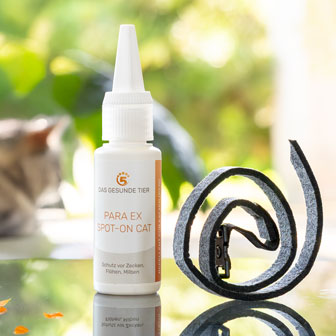 Spot-On-Flasche mit Katzenabwehrmittel von Das Gesunde Tier, daneben ein Halsband.