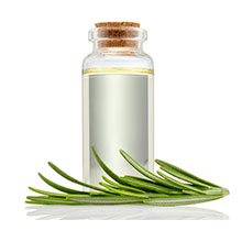 Das Bild zeigt auf weißem Hintergrund: Ätherische Öle