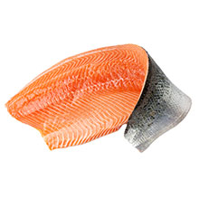 Das Bild zeigt auf weißem Hintergrund: Forelle