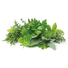 Das Bild zeigt auf weißem Hintergrund: Kräuter