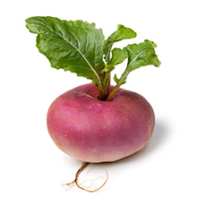 Das Bild zeigt auf weißem Hintergrund: Rübe