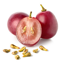 Das Bild zeigt auf weißem Hintergrund: Traubenkerne