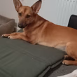 Bild 1 von 2 aus Bewertungen