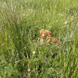Bild 2 von 10 aus Bewertungen