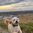 Bild 3 von 8 aus Bewertungen