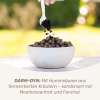 Vorschau DARM-KUR für Hunde - ab 25-50 kg