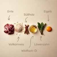 Vorschau COSMO – 10 kg kaltgepresstes Trockenfutter Hund