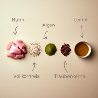 Vorschau IN FORM – 1 kg kaltgepresstes Trockenfutter Hund