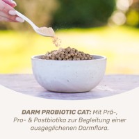 Vorschau DARM-KUR für Katzen