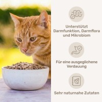 Vorschau DARM-KUR für Katzen