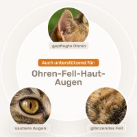Vorschau DARM-KUR für Katzen