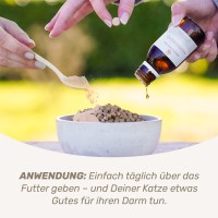 Vorschau DARM-KUR für Katzen