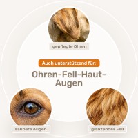 Vorschau DARM-KUR für Hundewelpen