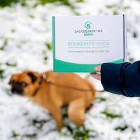 Vorschau DARMTEST PREMIUM für Hunde – Mikrobiom, Darmflora & Pankreasanalyse