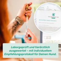 Vorschau DARMTEST PREMIUM für Hunde – Mikrobiom, Darmflora & Pankreasanalyse
