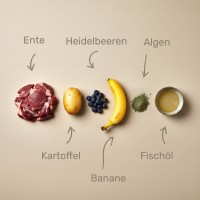 Vorschau NEPHRO – 5 kg Trockenfutter Hund