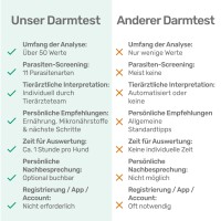 Vorschau DARMTEST BASIC für Hunde – Verdauungscheck & Magen-Darm-Balance