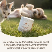 Vorschau AKAZIENFASER PULVER - 100 g Einzelfuttermittel für Hunde & Katzen