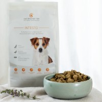 Vorschau INTESTO – 1 kg Trockenfutter Hund
