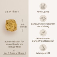 Vorschau INTESTO – 1 kg Trockenfutter Hund