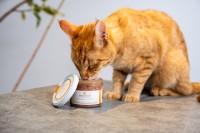 Vorschau CATLICIOUS "NEPHRO" - Für Katzen zur Unterstützung der Nierenfunktion: Sparpackung 6 x 200 g