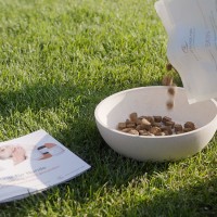 Vorschau SKIN – 10 kg Trockenfutter Hund