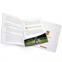 Vorschau Welpen-Starterpaket mit Welpenfutter SUNNY