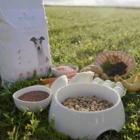 Vorschau PLANTA – 5 kg Trockenfutter Hund