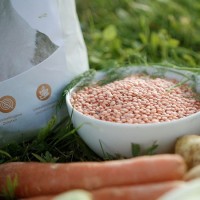 Vorschau PLANTA – 5 kg Trockenfutter Hund