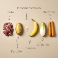 Vorschau INTESTO MINI – 1 kg Trockenfutter Hund