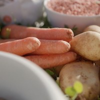 Vorschau INTESTO MINI – 5 kg Trockenfutter Hund