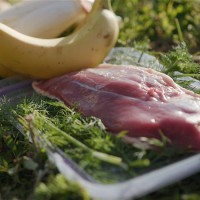 Vorschau INTESTO MINI – 5 kg Trockenfutter Hund