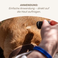 Vorschau PARA LAURIN SPOT-ON DOG - 100 ml