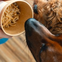 Vorschau WINTERPFOTEN ZAUBERBAD BIO - Beruhigende Pflege für kalte Tage für Hunde - 50 g