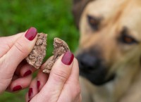 Vorschau PAWS FOR A CAUSE - 200 g