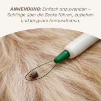 Vorschau ZECKENSCHLINGE - 1 Stück