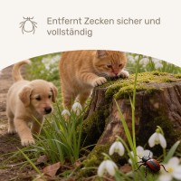 Vorschau ZECKENSCHLINGE - 1 Stück