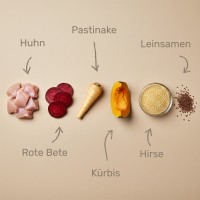 Vorschau SUN – 10 kg kaltgepresstes Trockenfutter Hund