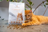 Vorschau INTESTO CAT Magen-Darm-Futter Katze – 10 x 1 kg trocken