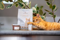 Vorschau INTESTO CAT Magen-Darm-Futter Katze – 10 x 1 kg trocken