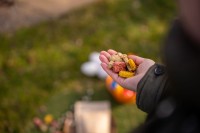 Vorschau HAPPY HOPPIES - Osterkekse mit Truthahn, Joghurt, Curcuma & Rote Bete - 200 g