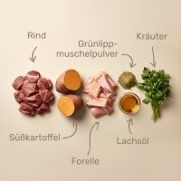 Vorschau MOBILO - 10 kg Trockenfutter Hund